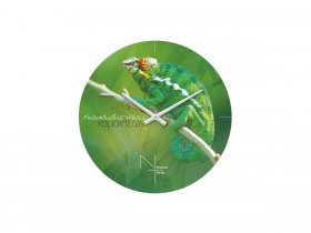 Часы настенные Nicole Time NT503 в Мохнатом Логу - mohnatyj-log.mebel-nsk.ru | фото